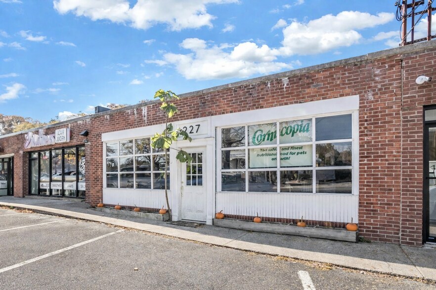 Primary Photo Of 227 Wall St, Huntington Storefront For Sale