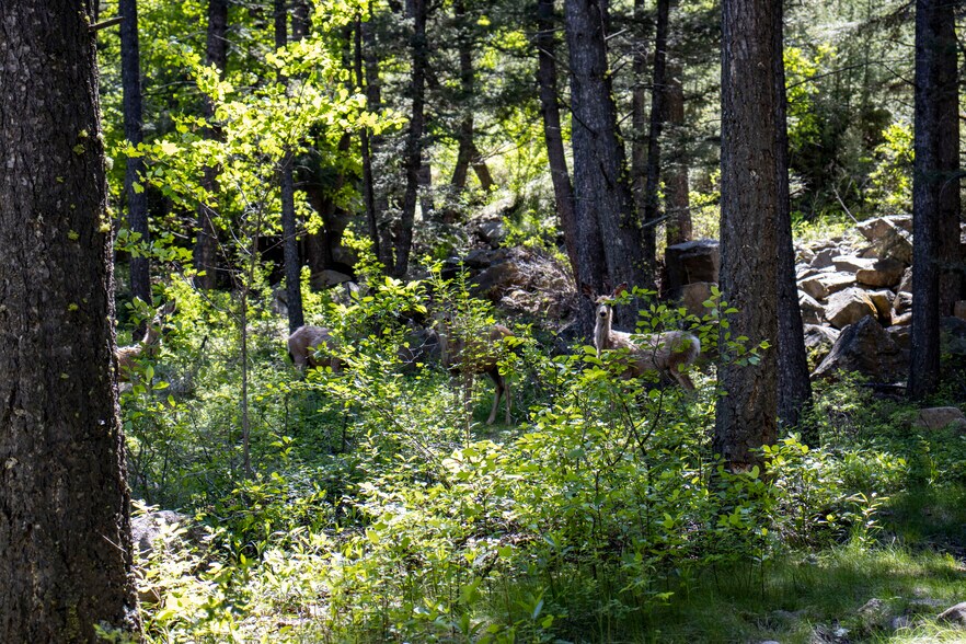 More Photos Of 29 Frontage Rd, Basin Manufactured Housing Mobile Home Park For Sale