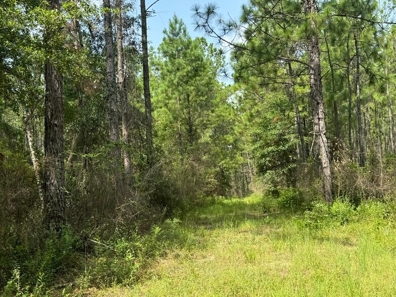 More Photos Of 0 Nokomis Road, Walnut Hill Land For Sale