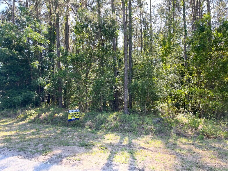 More Photos Of 31004 Secretariat Trl, Leesburg Land For Sale