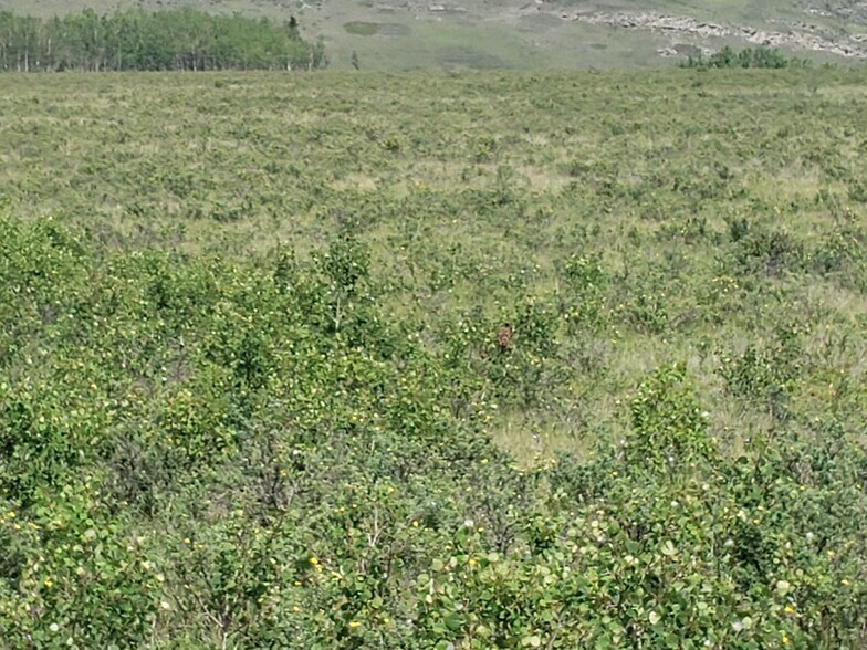 More Photos Of 2 Bow River, Rocky View No 44 Land For Sale