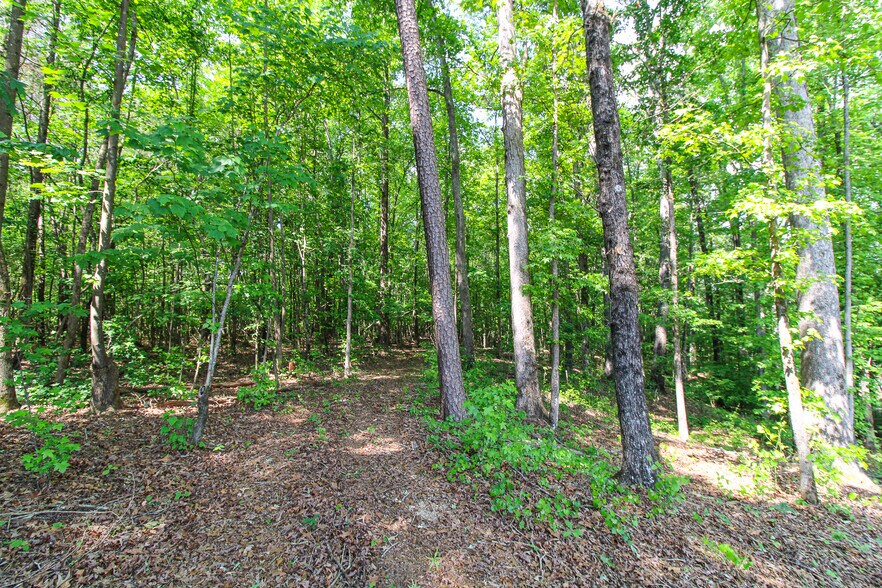 More Photos Of Powell Rd, Statham Land For Sale