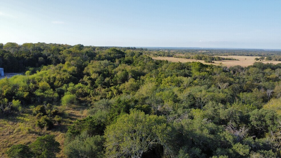 Primary Photo Of 2314 FM 2145, La Grange Land For Sale