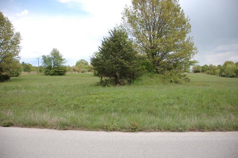 More Photos Of 000 Goodhard, West Plains Land For Sale