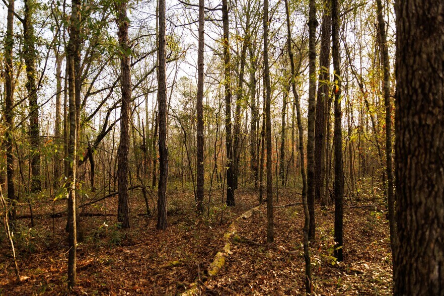 More Photos Of Jug Factory Road, Wetumpka Land For Sale