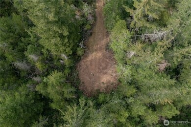 More Photos Of N US Hwy 101, Lilliwaup Land For Sale