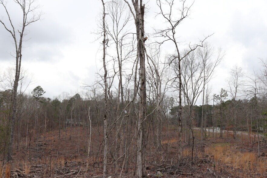 More Photos Of Knox Bridge Hwy @ Knox Bridge & Ficklen Church Hwy, Canton Land For Sale