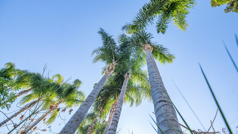 More Photos Of 1403 Rowena Way, Sacramento Specialty For Sale