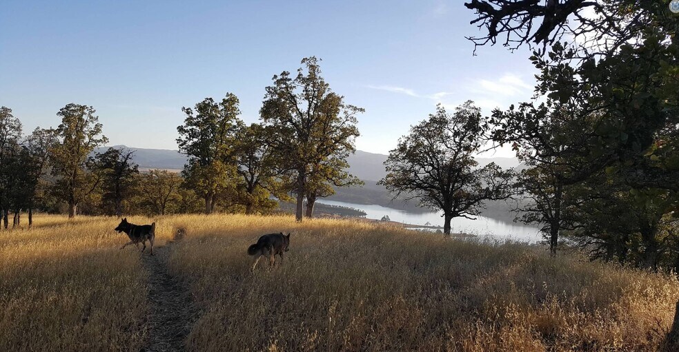 More Photos Of Campground Rd, Stonyford Land For Lease