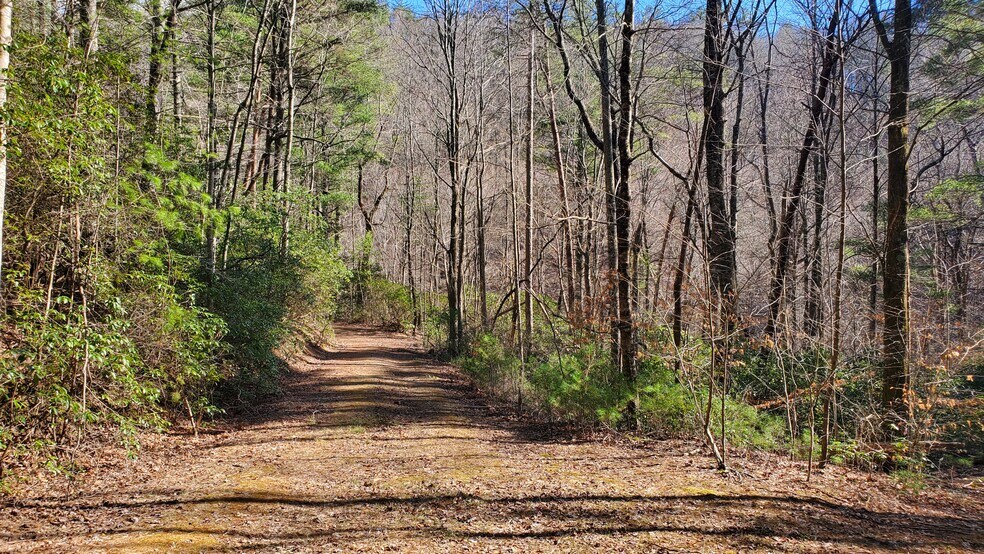 More Photos Of Mountain Cove Estates Rd, Cherry Log Land For Sale