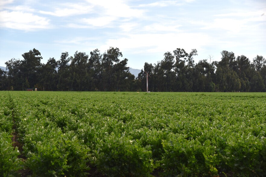 More Photos Of 3425 Wright Rd, Camarillo Land For Sale