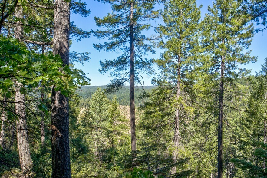 More Photos Of Texas Hill Rd, Emigrant Gap Land For Sale