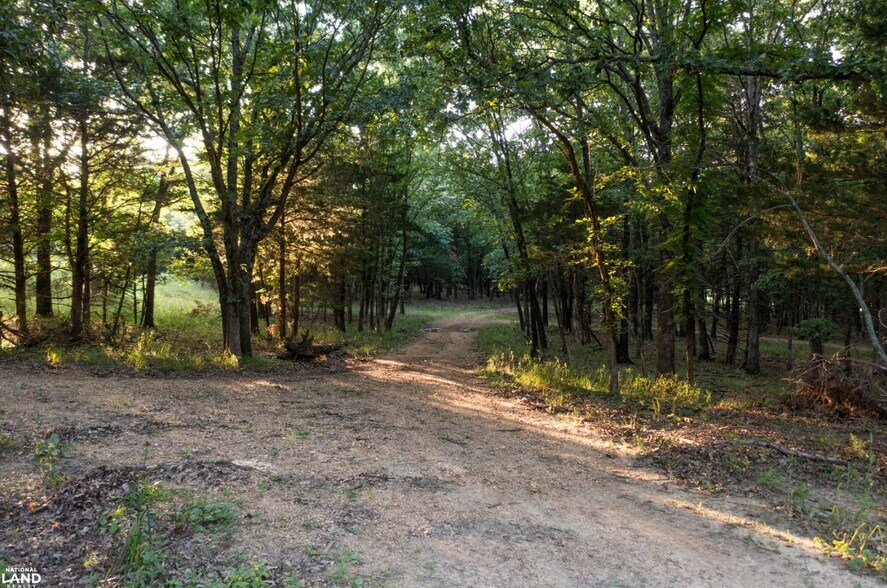 More Photos Of 178 Oak Creek Ln, Bland Land For Sale