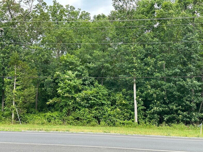 More Photos Of 7503 James Madison hwy, Gainesville Land For Sale