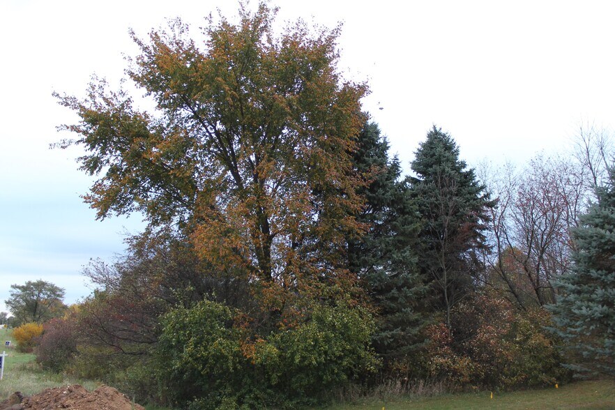 More Photos Of 0 Fabyan Pky, Elburn Land For Sale