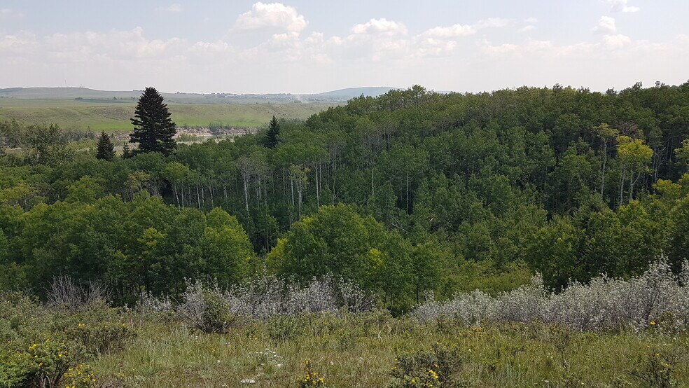 More Photos Of 2 Bow River, Rocky View No 44 Land For Sale