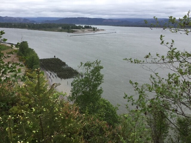 More Photos Of 93893 Clifton Rd, Westport Land For Sale