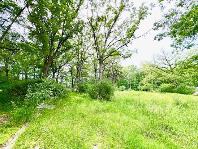 More Photos Of 7584 NY-97, Narrowsburg Land For Sale