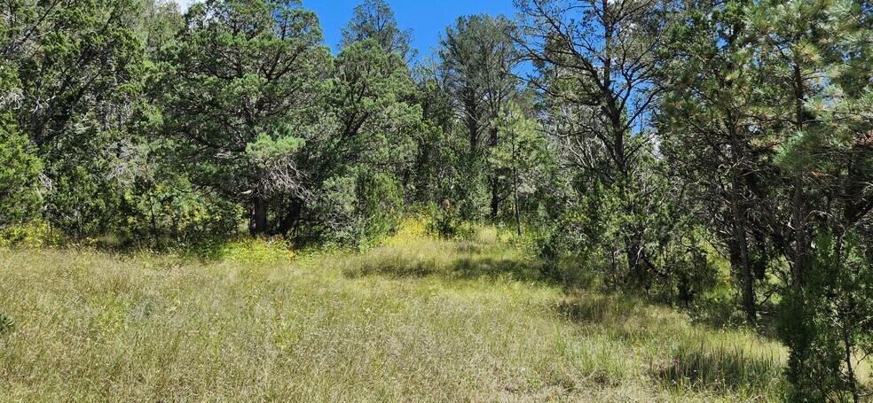 More Photos Of 140 Paradise Canyon Dr, Ruidoso Land For Lease