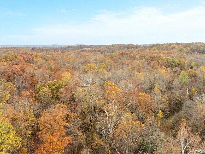 More Photos Of 43725 Spinks Ferry Rd, Leesburg Land For Sale