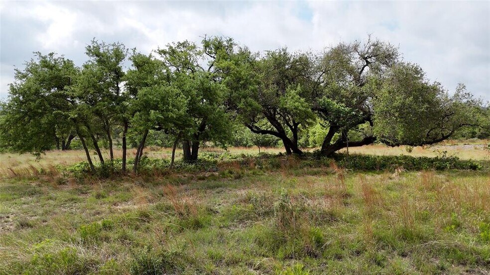 More Photos Of 207 Verbena ct, Johnson City Land For Sale