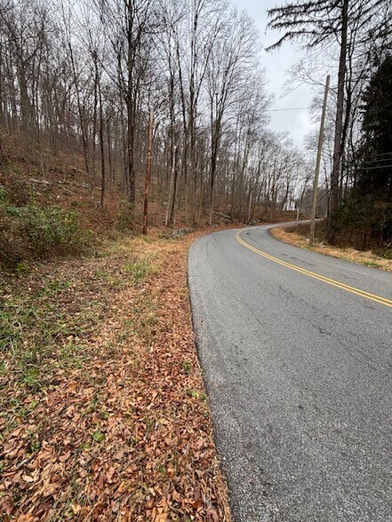 Primary Photo Of 88 Wiccopee Rd, Putnam Valley Land For Sale