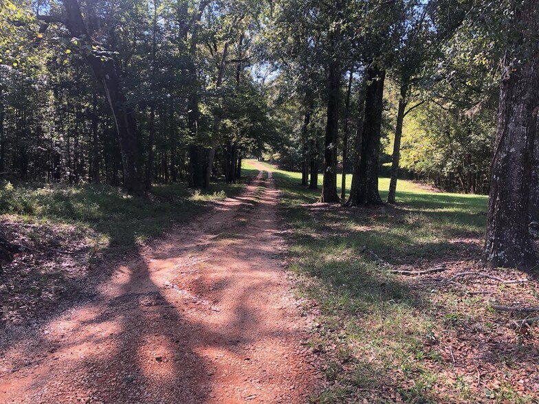 More Photos Of 6040 AL-28, Pine Apple Lodge Meeting Hall For Sale