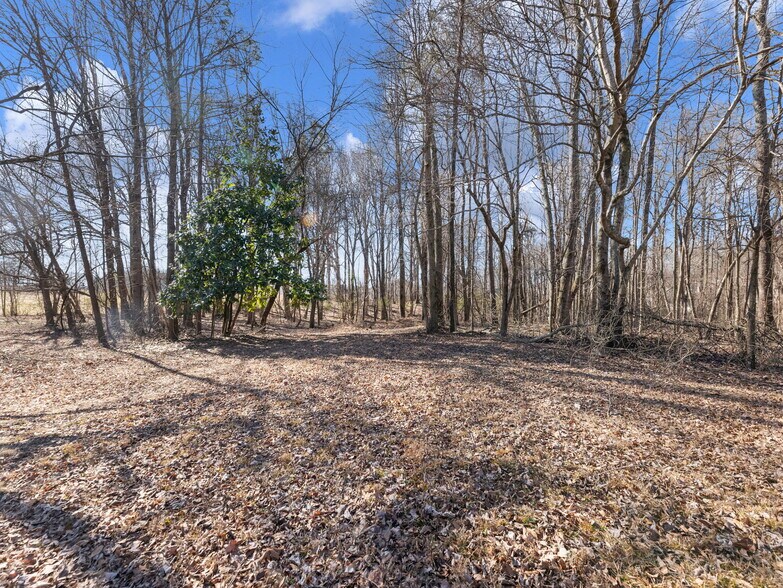 More Photos Of 5555 McEver Rd, Flowery Branch Land For Sale