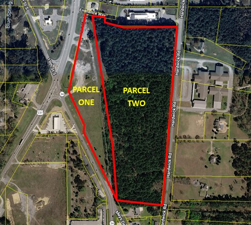 Primary Photo Of 0000 Hwy 231, Pell City Land For Sale