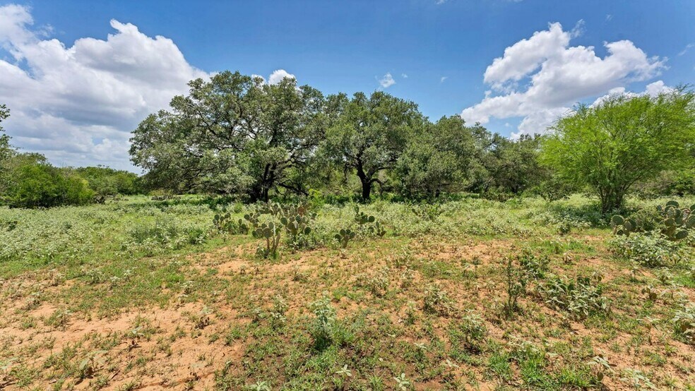 More Photos Of 209 FM 1344, Floresville Land For Sale