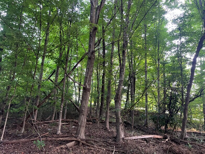 More Photos Of Tract 1 E Main Street, Pilot Mountain Land For Sale