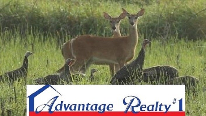 More Photos Of 725 Moon Ranch Rd, Sebring Land For Sale