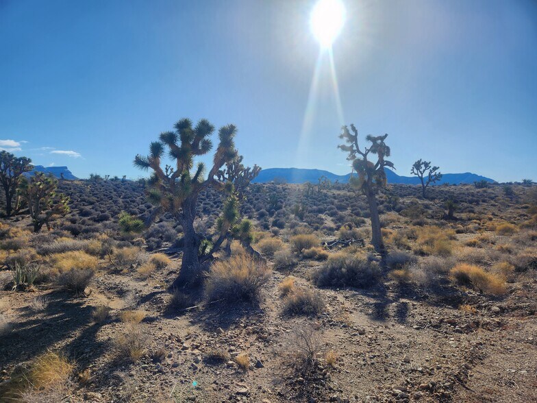 More Photos Of 27250 N Pierce Ferry Rd, Meadview Land For Sale