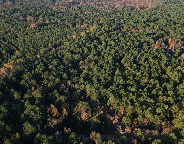 More Photos Of TBD Miller County 32, Doddridge Land For Sale