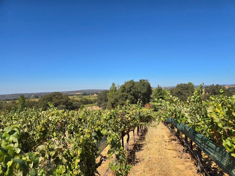 More Photos Of 20680 Shenandoah School Rd, Plymouth Winery Vineyard For Sale