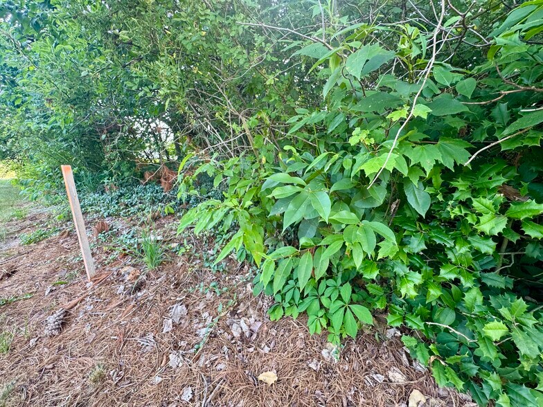 More Photos Of 1388 Ritter Dr, Daniels Freestanding For Sale