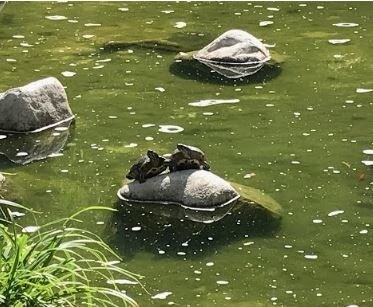 More Photos Of 7177 Brockton Ave, Riverside Unknown For Lease