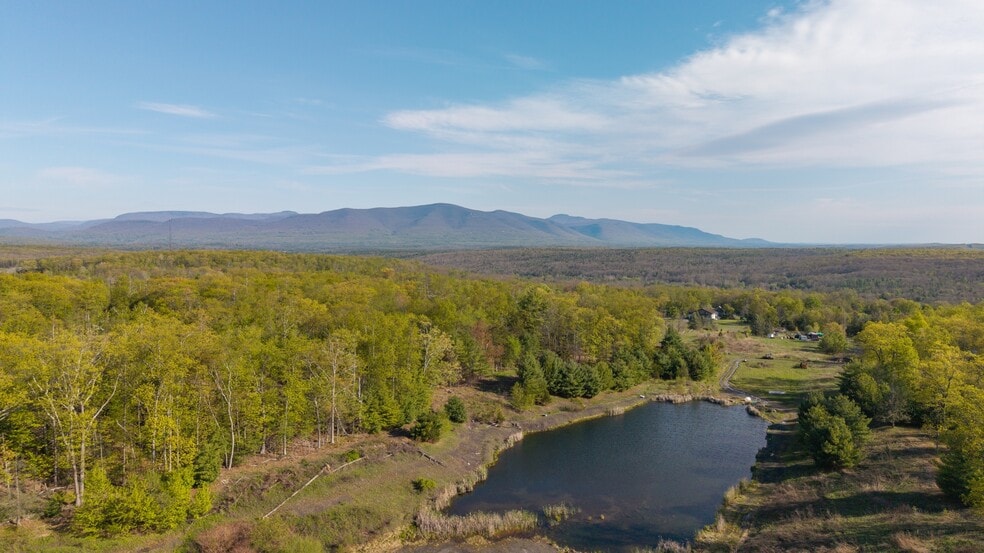 More Photos Of 167 Hill Rd, Kingston Sports And Entertainment For Sale