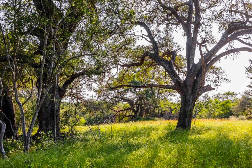 More Photos Of 256 Greasy Bend rd, Smithville Land For Sale