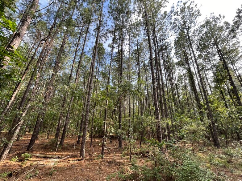 More Photos Of 229 Colbert Bridge Road, Windsor Land For Sale