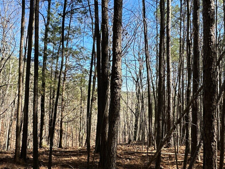 More Photos Of 3472 Prior Station Rd, Cedartown Land For Sale