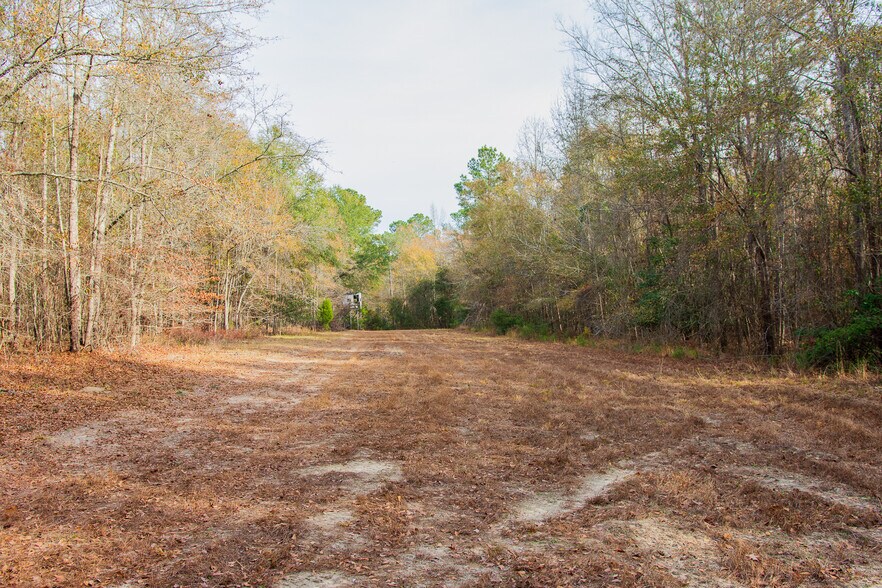 More Photos Of 409 Windward Ave, Orangeburg Land For Sale