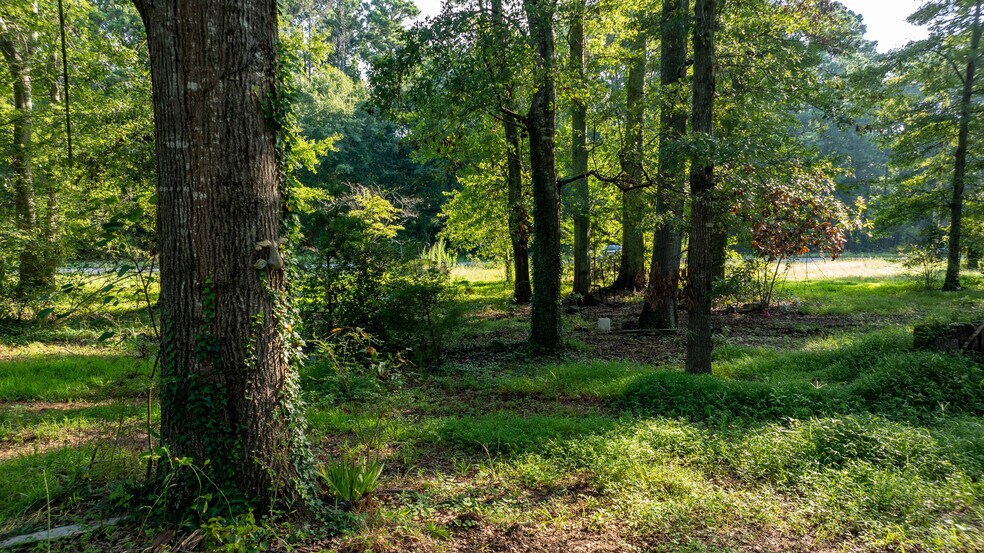 More Photos Of 62 Turin Rd, Senoia Land For Sale