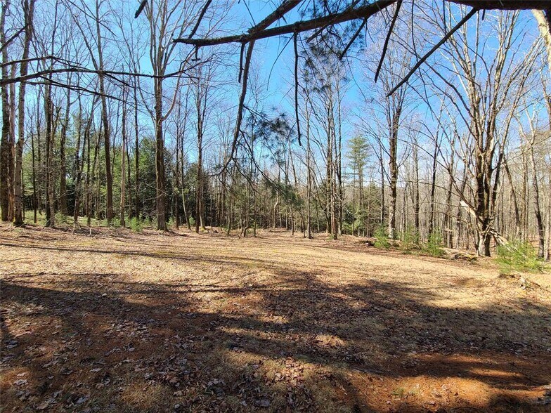 More Photos Of 1095 State 17B rt, Mongaup Valley General Retail For Sale