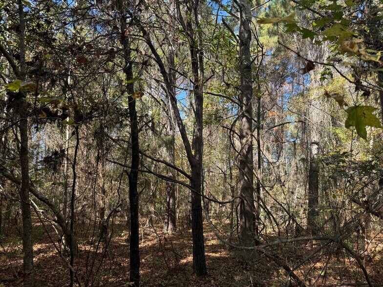 More Photos Of 793 Puncheon Creek Dr, Andrews Land For Sale