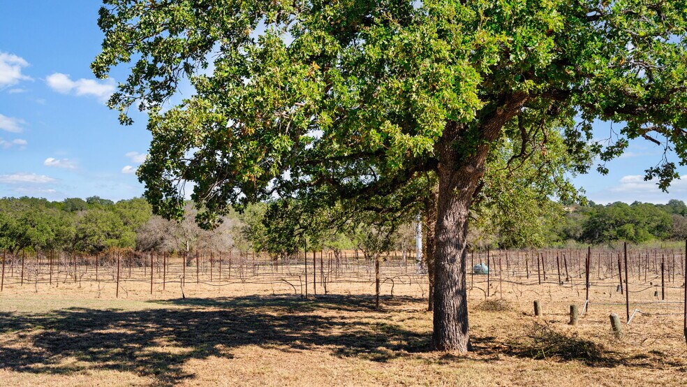 More Photos Of 25711 Hamilton Pool Rd, Round Mountain Specialty For Sale