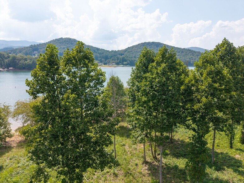 More Photos Of 314 Lakeside dr, Hiawassee Land For Sale