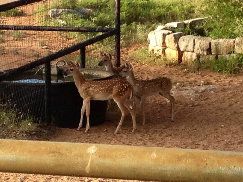 More Photos Of 0 Escalar dr, Buchanan Dam Land For Sale