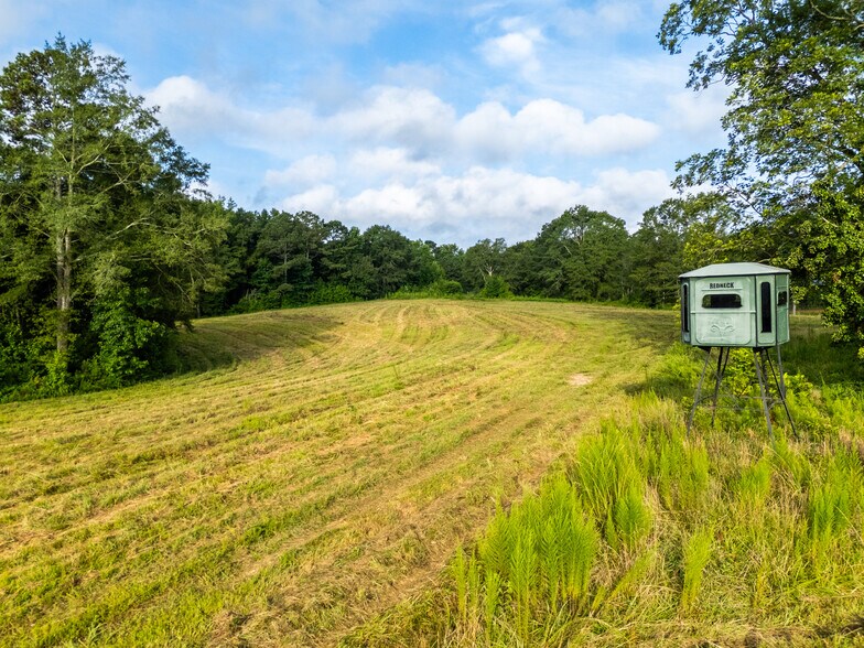 More Photos Of 2199 Roosterville Rd, Roopville Horse Stables For Sale