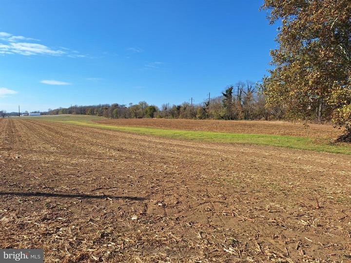 More Photos Of 20 Kinzer Rd, Kinzers Land For Sale